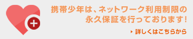 携帯少年はネットワーク利用制限永久保証